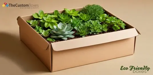 From Innovation To Revolution Every Success Story Lies in Eco Friendly Boxes small