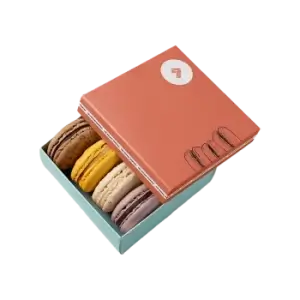 Custom Macaron Boxes