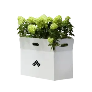 Custom Floral Packaging Boxes