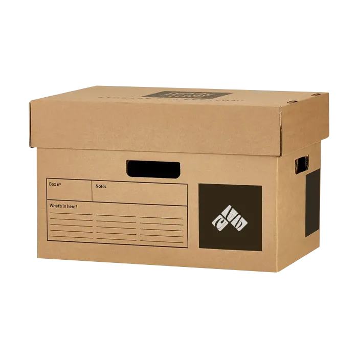 archive-storage-boxes-with-lids.webp