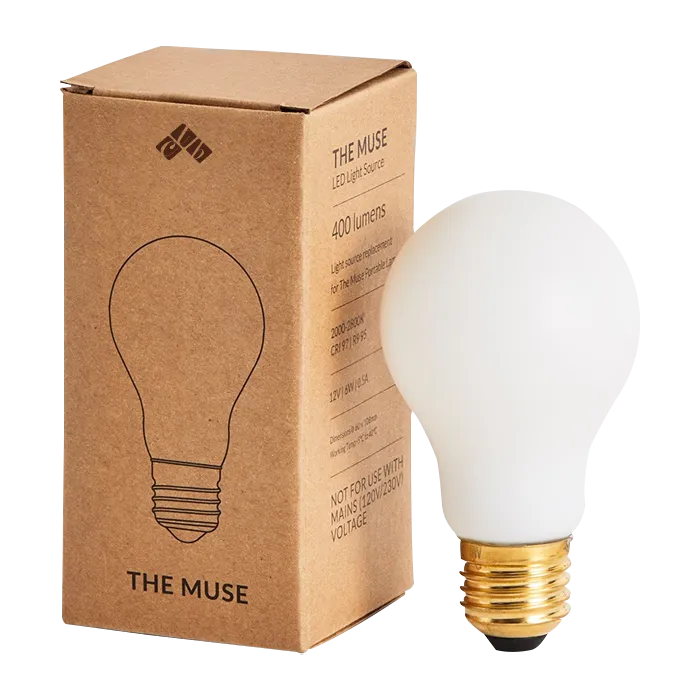 Cardboard-Light-Bulb-Boxes.webp