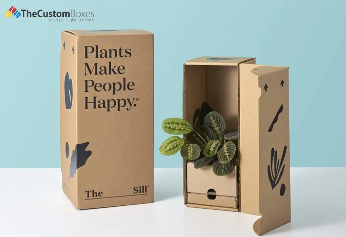 Lack Or No Attention To Sustainable Packaging